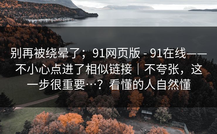 别再被绕晕了；91网页版 - 91在线——不小心点进了相似链接｜不夸张，这一步很重要…？看懂的人自然懂  第1张