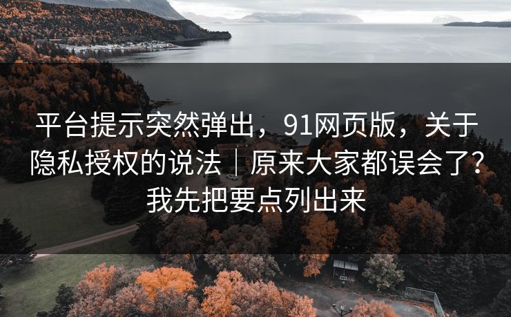 平台提示突然弹出，91网页版，关于隐私授权的说法｜原来大家都误会了？我先把要点列出来  第1张